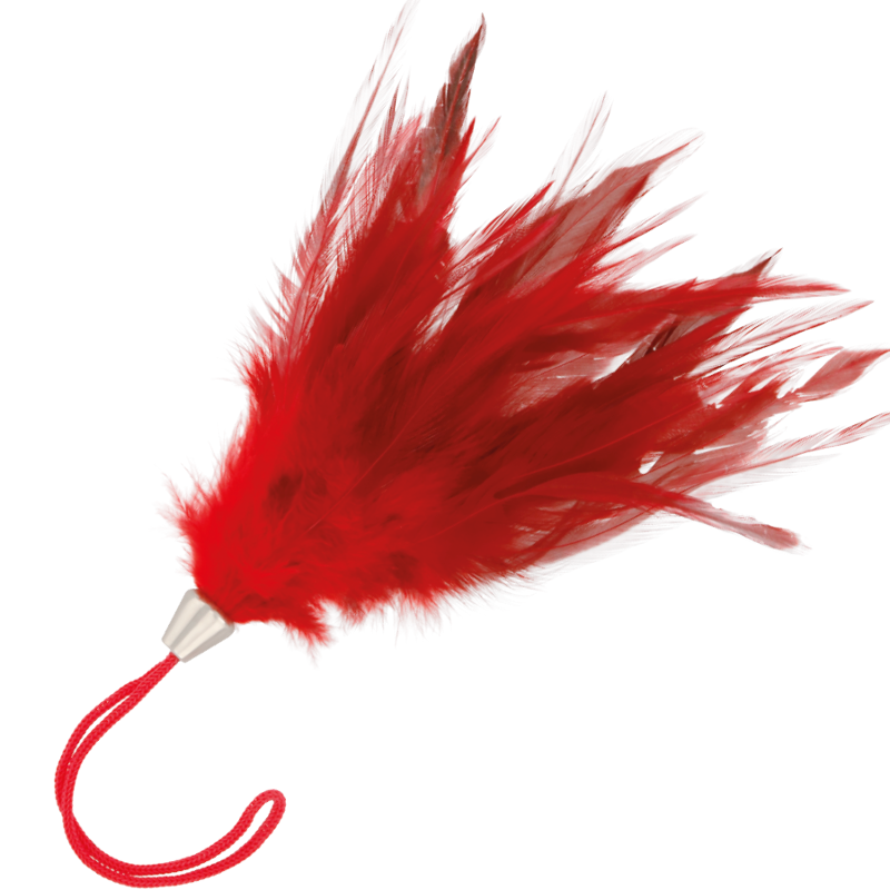 Red feather duster